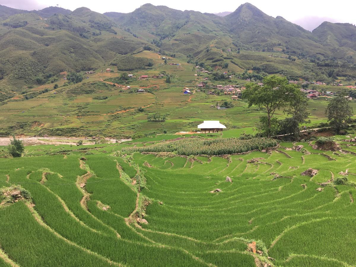 Hoa'S Homestay Sapa ภายนอก รูปภาพ