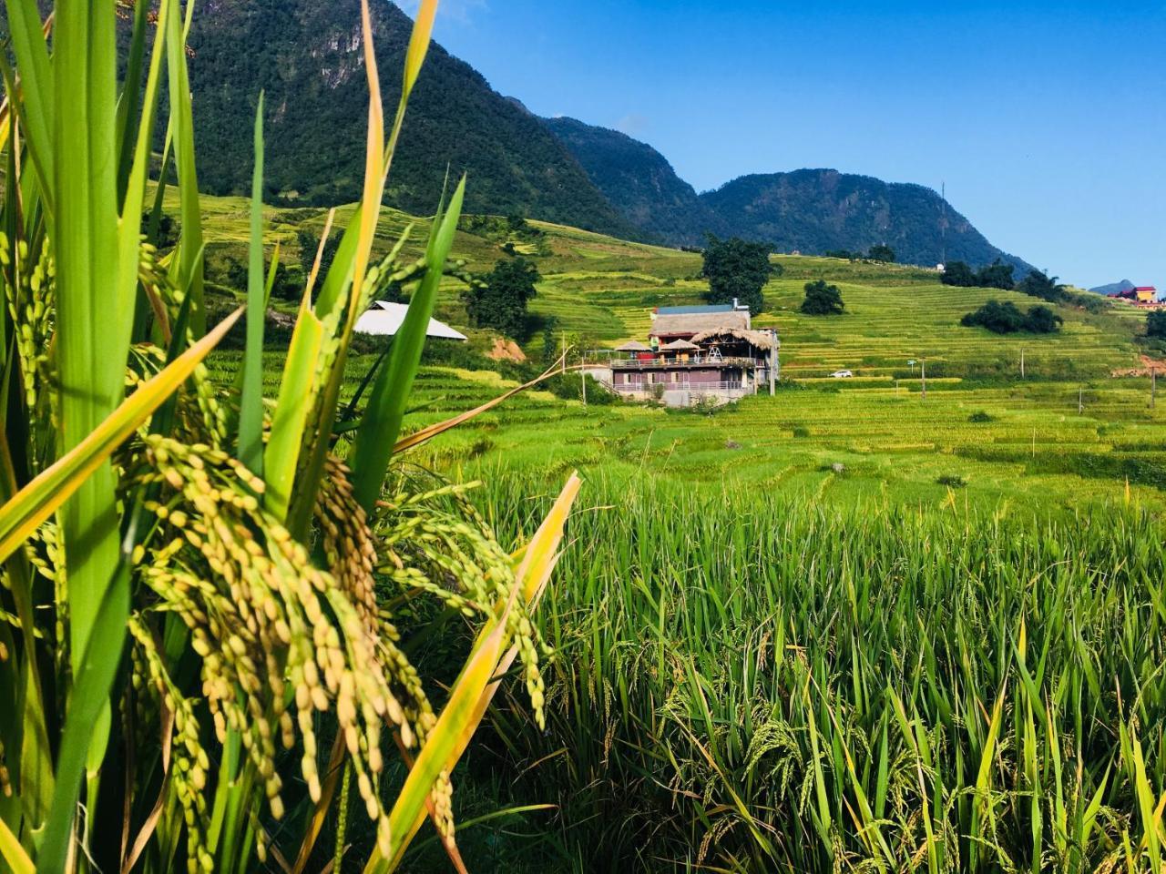 Hoa'S Homestay Sapa ภายนอก รูปภาพ