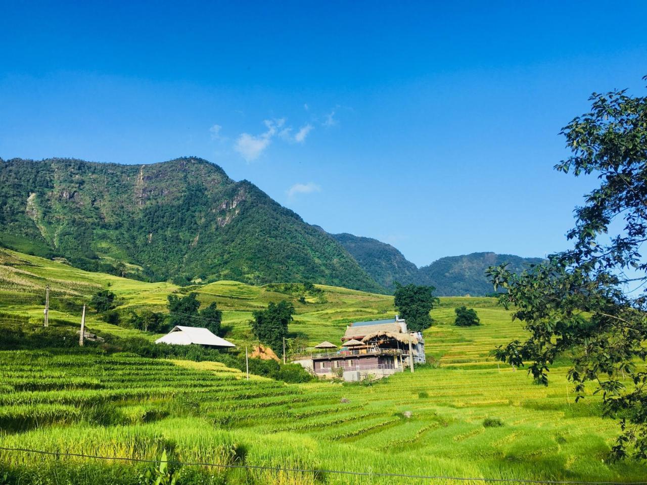 Hoa'S Homestay Sapa ภายนอก รูปภาพ